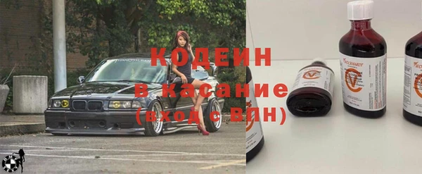 индика Мегион