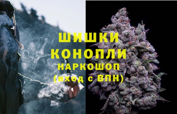 дурь Медвежьегорск