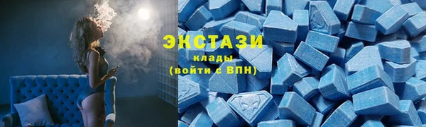 СК Медногорск