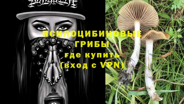 индика Мегион