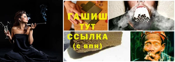 индика Мегион