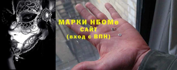индика Мегион