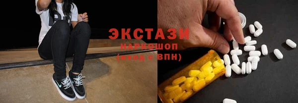 индика Мегион