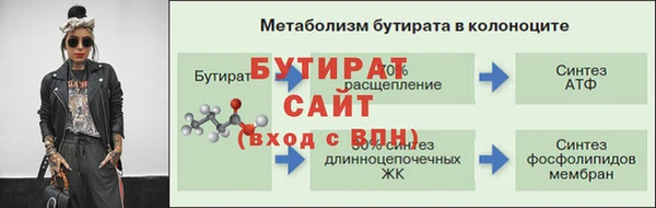 индика Мегион