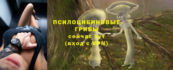 индика Мегион