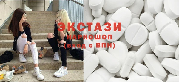 индика Мегион
