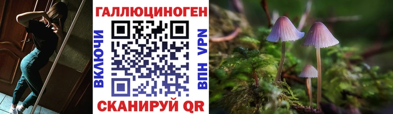 Купить  Тула  Псилоцибиновые грибы мухоморы 